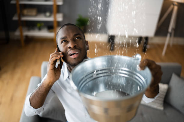 Best Basement water damage restoration  in Chehalis, WA