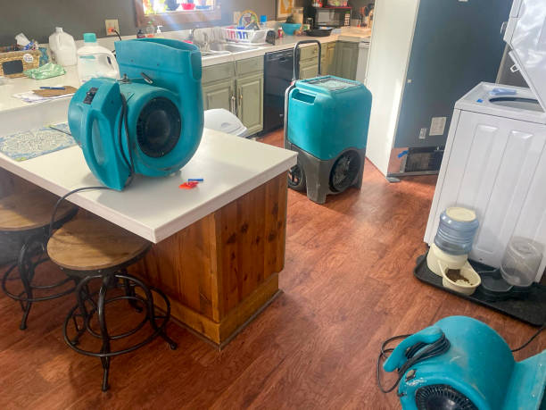  Chehalis, WA Water damage restoration Pros