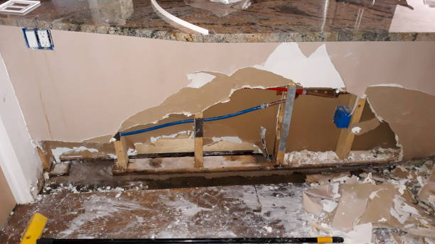 Best Professional water damage repair  in Chehalis, WA