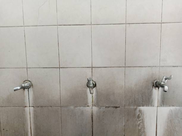 Best 24/7 water damage repair  in Chehalis, WA