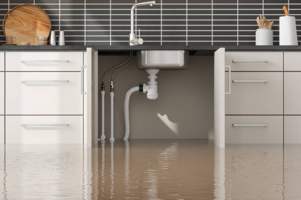 Best Carpet water damage restoration  in Chehalis, WA