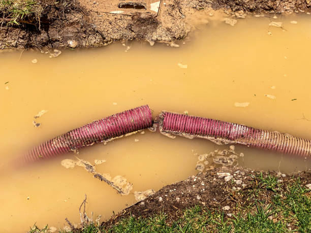 Best Emergency water damage restoration  in Chehalis, WA